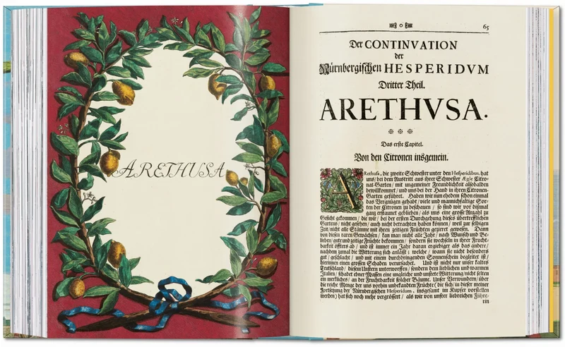 J. C. Volkamer. The Book of Citrus Fruits. 45th Ed.