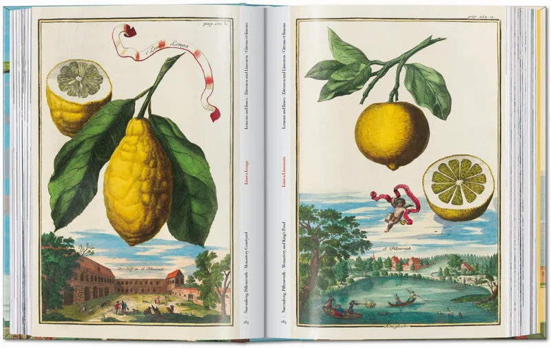 J. C. Volkamer. The Book of Citrus Fruits. 45th Ed.