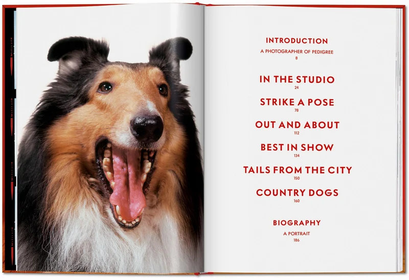 Walter Chandoha. Dogs. Photographs 1941–1991