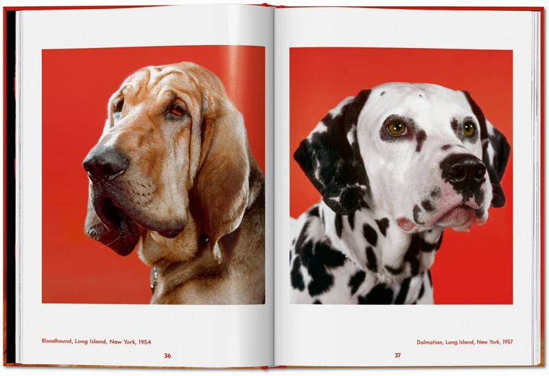 Walter Chandoha. Dogs. Photographs 1941–1991