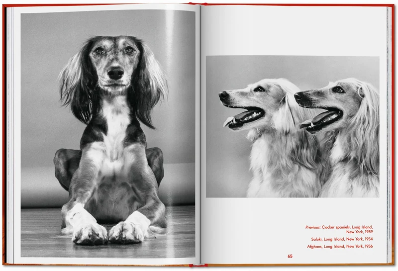 Walter Chandoha. Dogs. Photographs 1941–1991