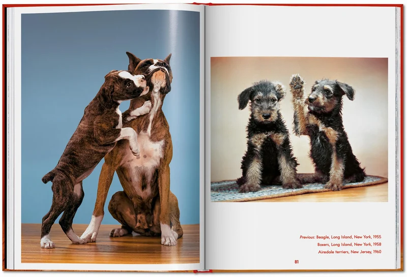 Walter Chandoha. Dogs. Photographs 1941–1991