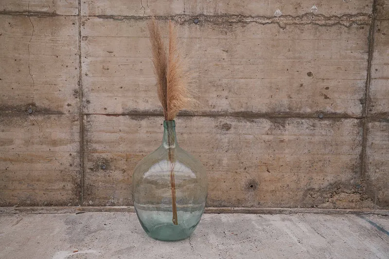 Ballonvase inkl. Pampasgras