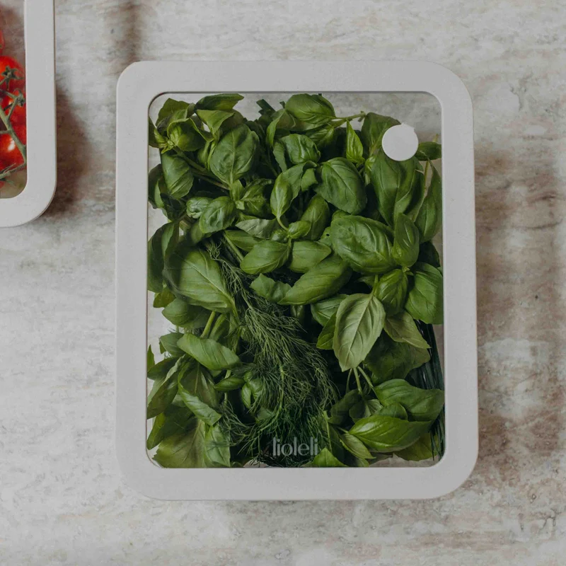 Frischebox | eckig | 2600ml