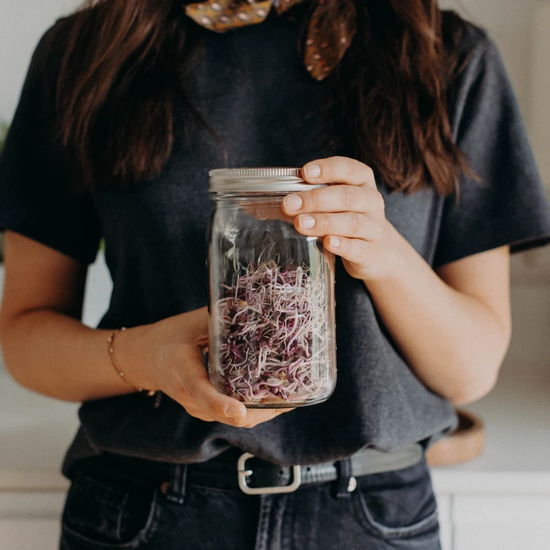 Sprossendeckel | Mason Jar