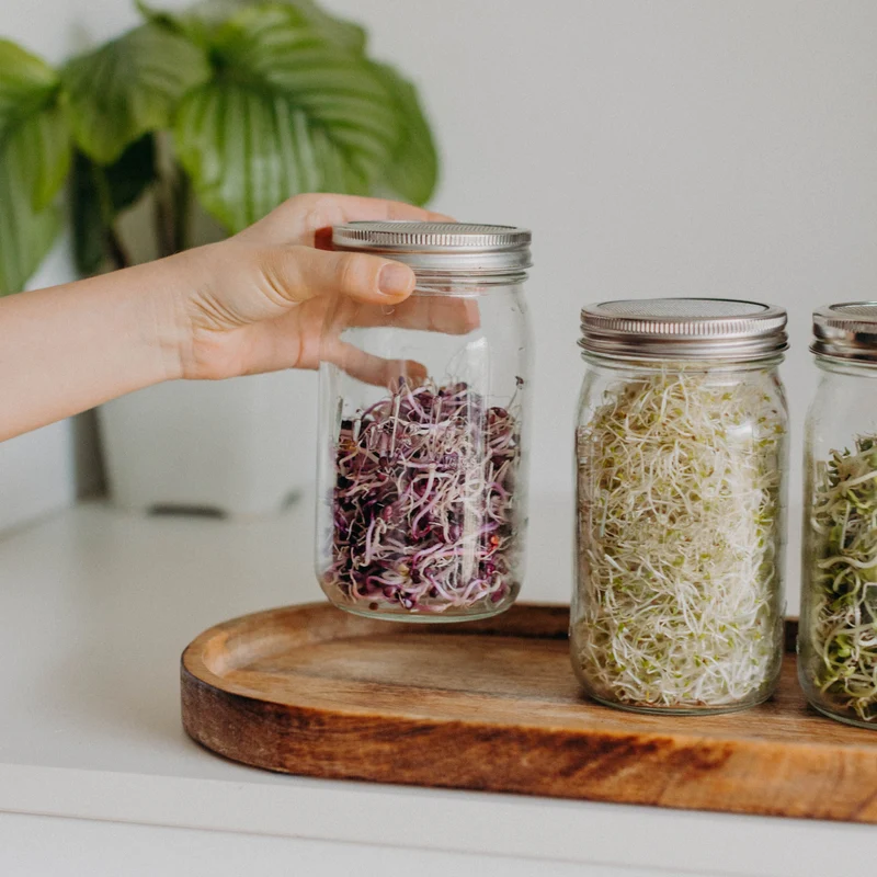 Sprossendeckel | Mason Jar