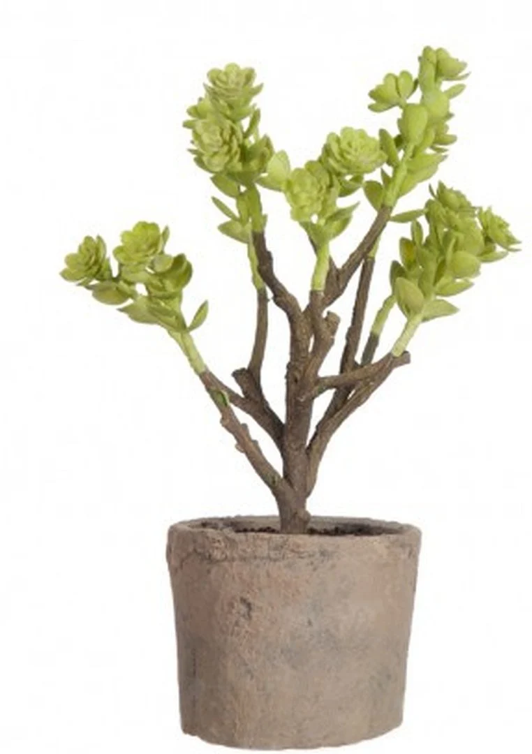 Pflanze Kunstpflanze im Topf ECHEVERIA hellgrün Grünpflanze 28 cm | J LINE