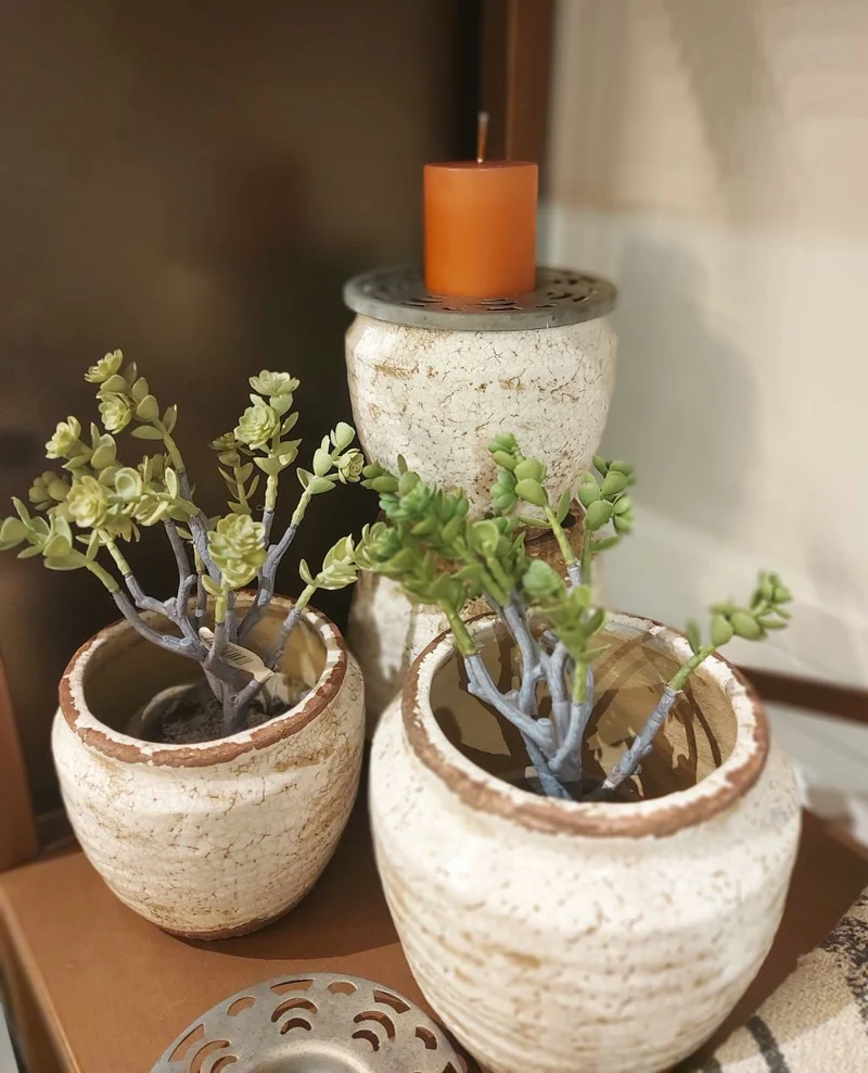 Pflanze Kunstpflanze im Topf ECHEVERIA hellgrün Grünpflanze 28 cm | J LINE