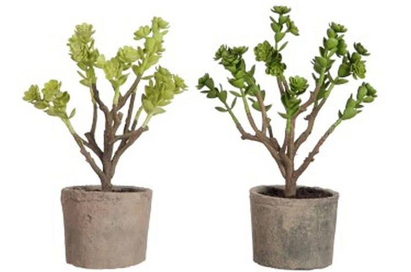 Pflanze Kunstpflanze im Topf ECHEVERIA hellgrün Grünpflanze 28 cm | J LINE