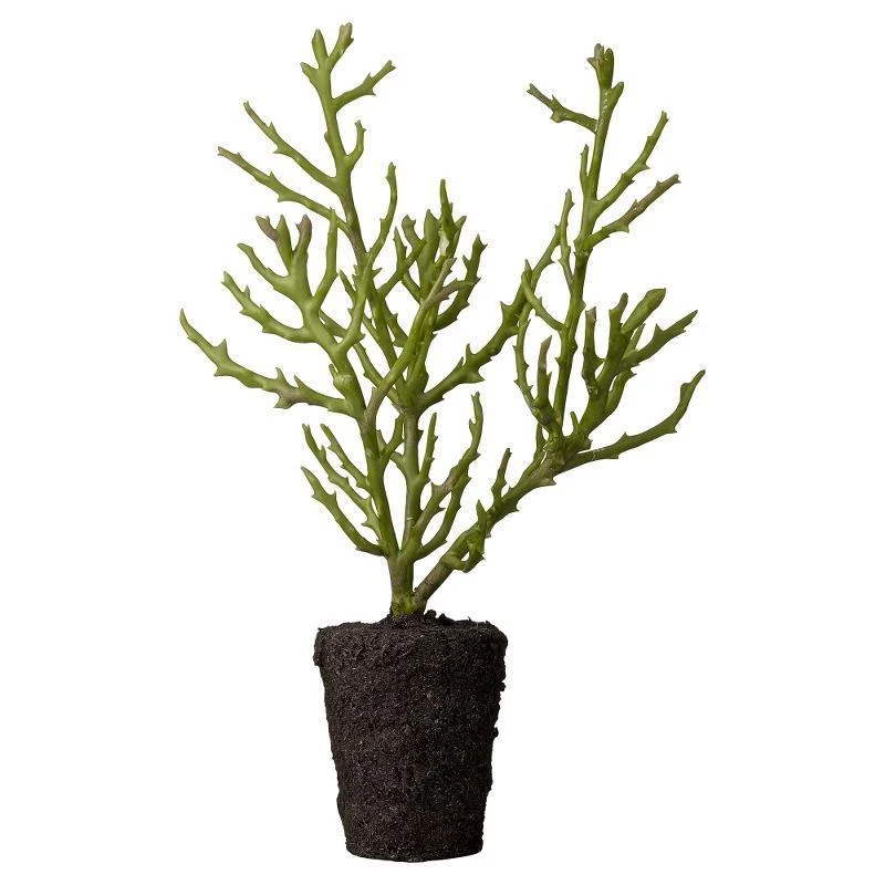Lene Bjerre Pflanze Kunstpflanze FLORA Sukkulente mit Ballen 35 cm