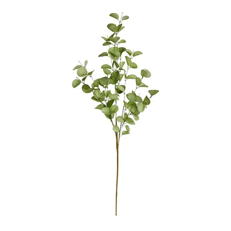 Eukalyptus Zweig 70cm