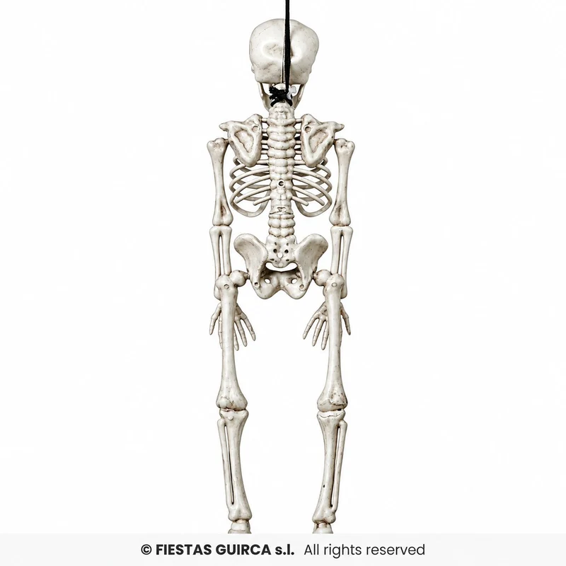 Hängefigur "Skelett" 40 cm | Halloween Dekoration