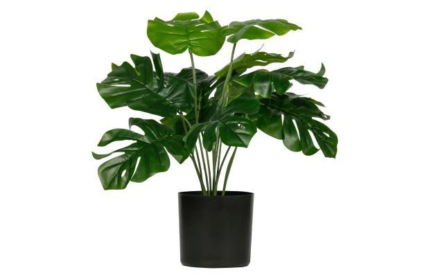 Pflanze MONSTERA Kunstpflanze ca. 40 cm | künstliches Fensterblatt aus der Kollektion WOOOD