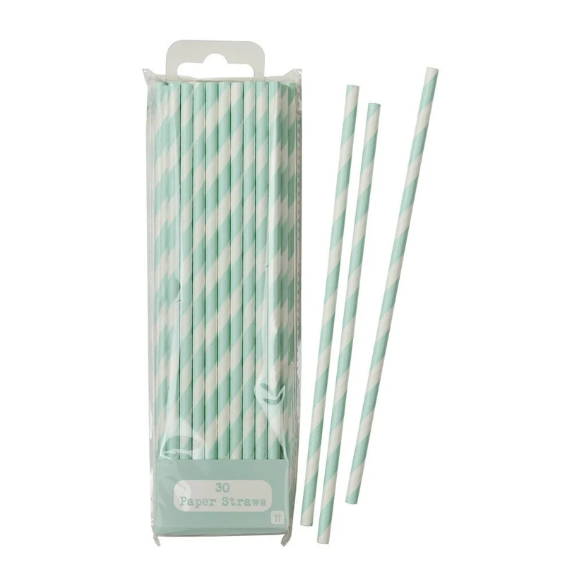 Trinkhalme STRAW MINT Papiertrinkhalme mintgrün (30 Stück) | Talking Tables