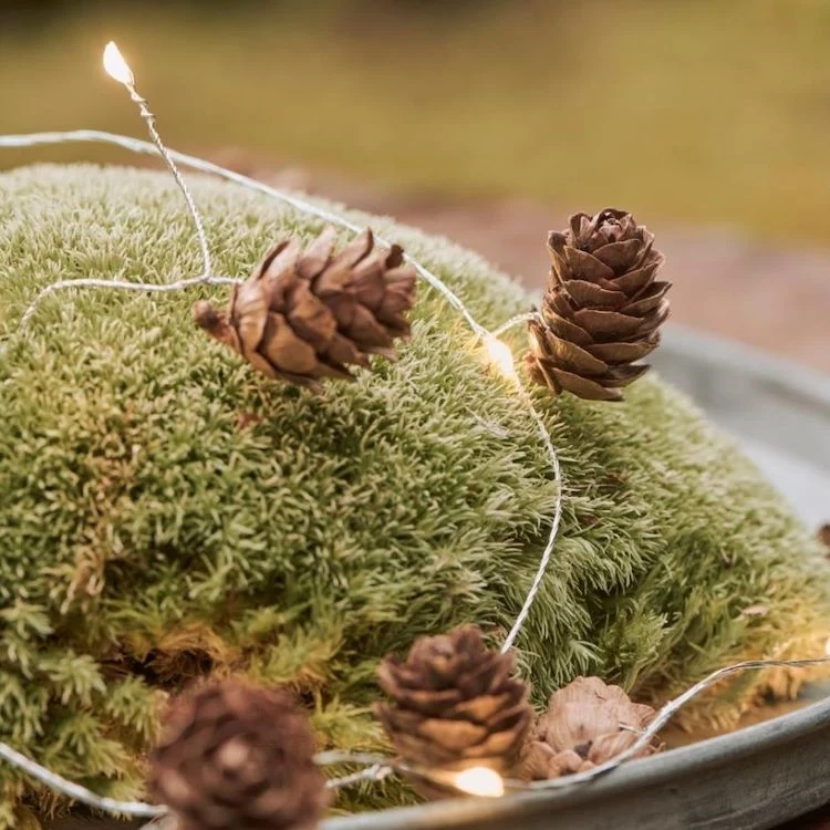 Ib Laursen Lichterkette mit Zapfen