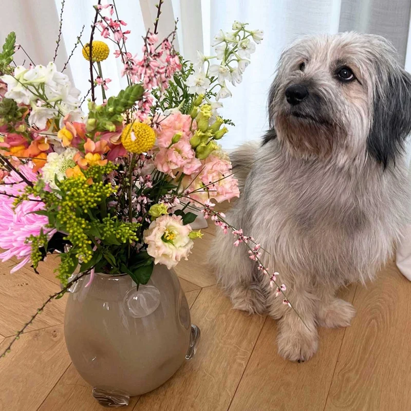 Vase HAZEL 25 cm beige