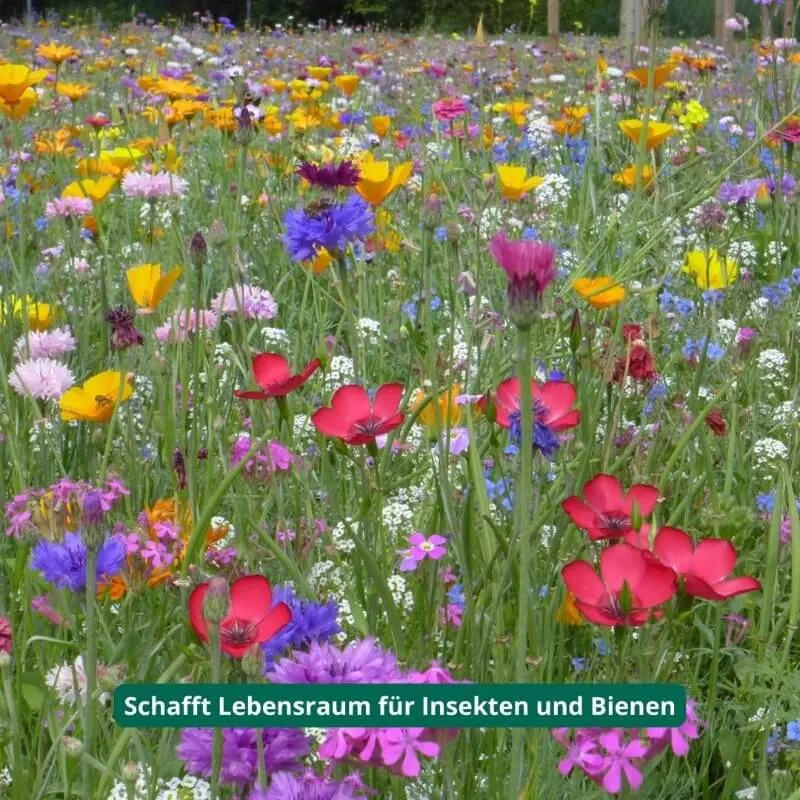 Gastgeschenk Set Blumensamen (für 48 Gäste)
