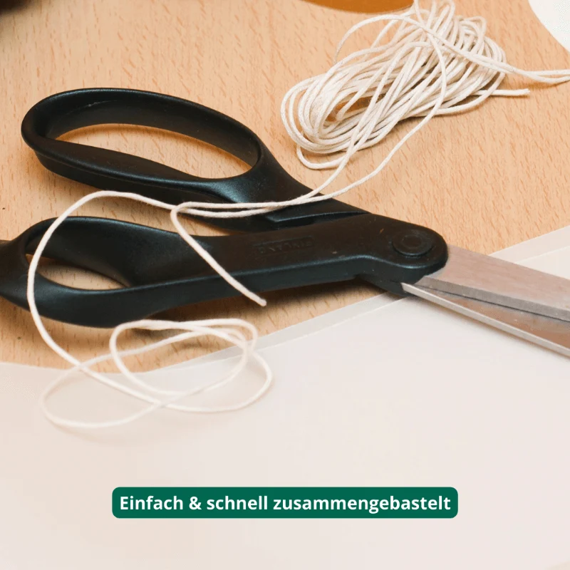Gastgeschenk Set Blumensamen (für 48 Gäste)