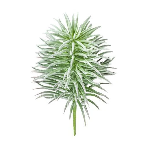 Kunstpflanze Succulente leicht beflockt 11x24 cm | Colmore
