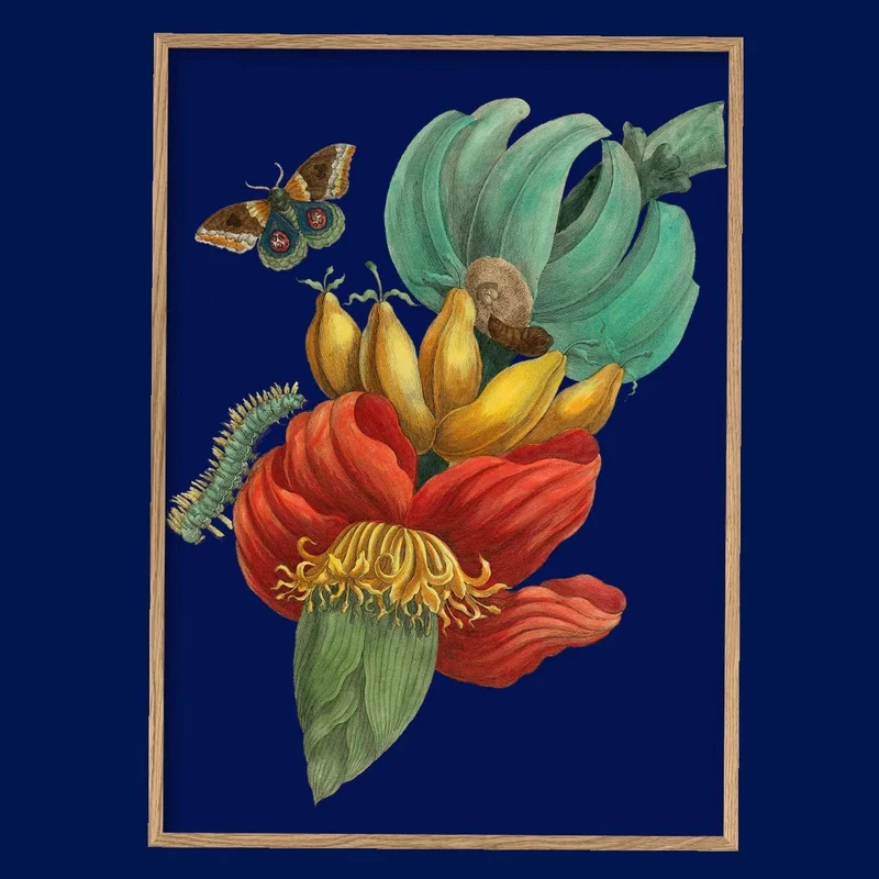 Kunstdruck 'Banana Flower' Poster - The Dybdahl Co