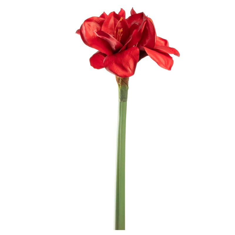 Amaryllis 55cm rot AUTENTICO