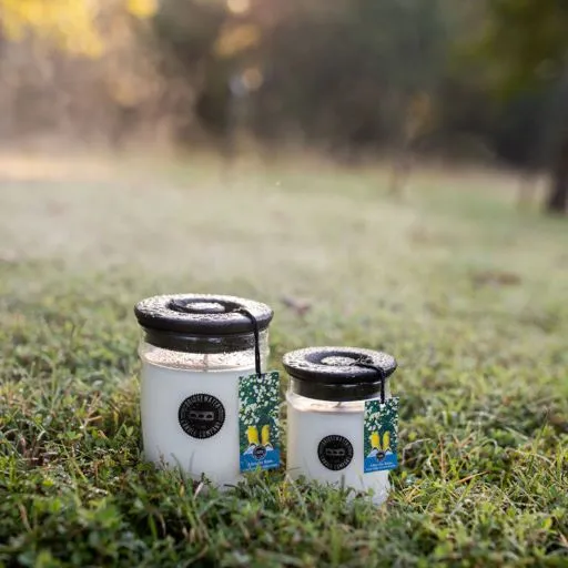 Duftkerze AFTER THE RAIN Apfel Kiwi Moos ca. 70 H Charity Candle 2. Wahl siehe Produktbeschreibung
