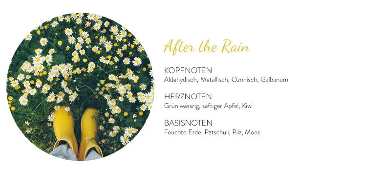 Duftkerze AFTER THE RAIN Apfel Kiwi Moos ca. 70 H Charity Candle 2. Wahl siehe Produktbeschreibung