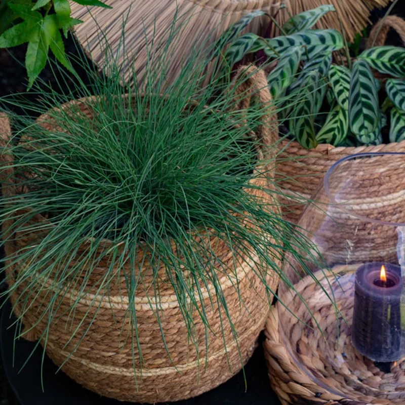 Korb JUTE ecru gestreift 20x26 cm | Übertopf 1 Stück Aufbewahrung | Mars & More