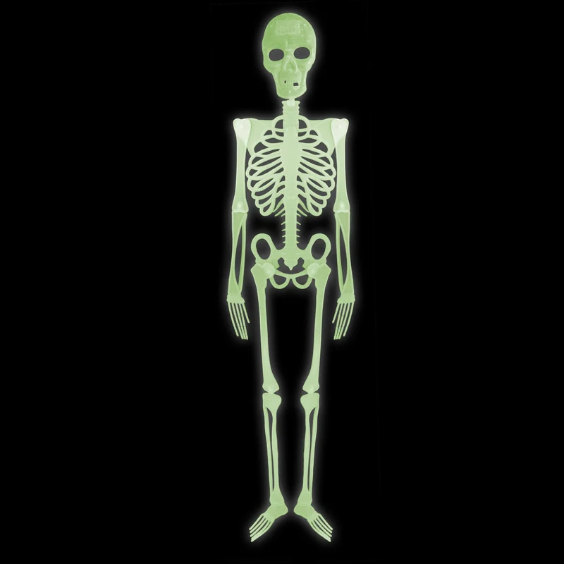 Skelett 150 cm | Große Halloween-Deko zum Hängen oder Stellen