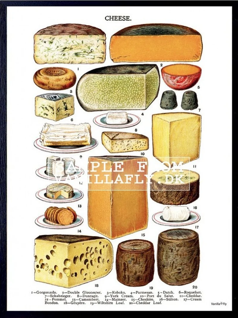 Kunstdruck Poster CHEESE Käse | Bild 30x40 cm für die Küche | Vanilla Fly