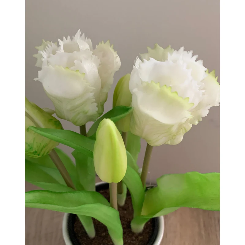 Tulpentopf „Barbados“ weiß