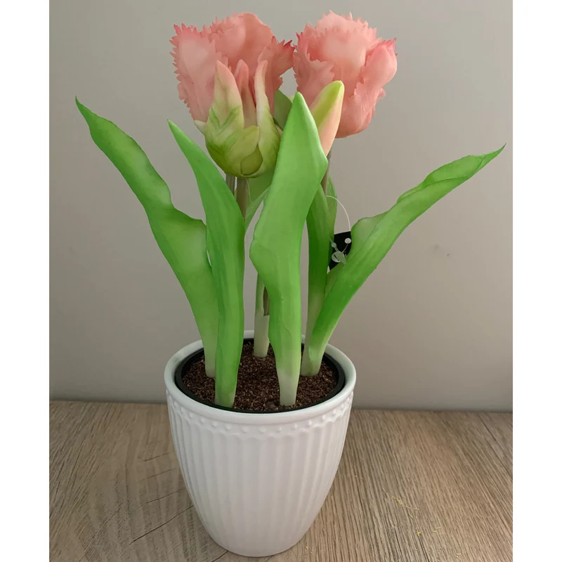 Tulpentopf „Barbados“ rosa