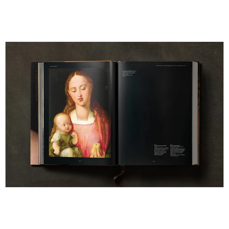 Albrecht Dürer. Sämtliche Gemälde. Ausgewählte Zeichnungen und Druckgrafiken