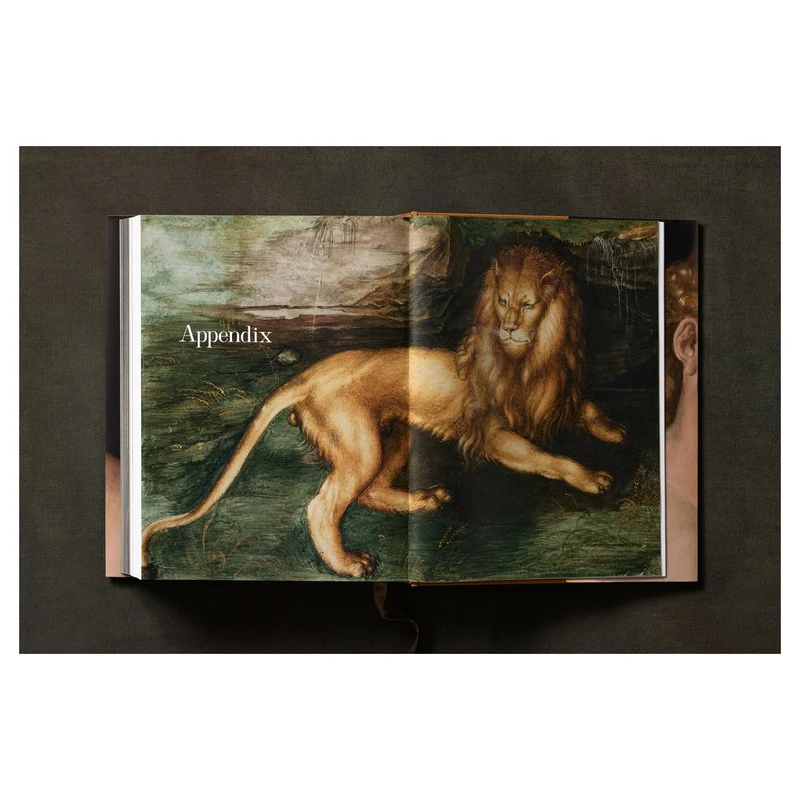 Albrecht Dürer. Sämtliche Gemälde. Ausgewählte Zeichnungen und Druckgrafiken