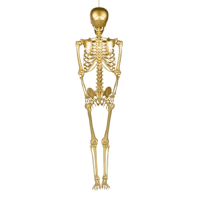 Halloween Deko Skelett Gold | 160 cm