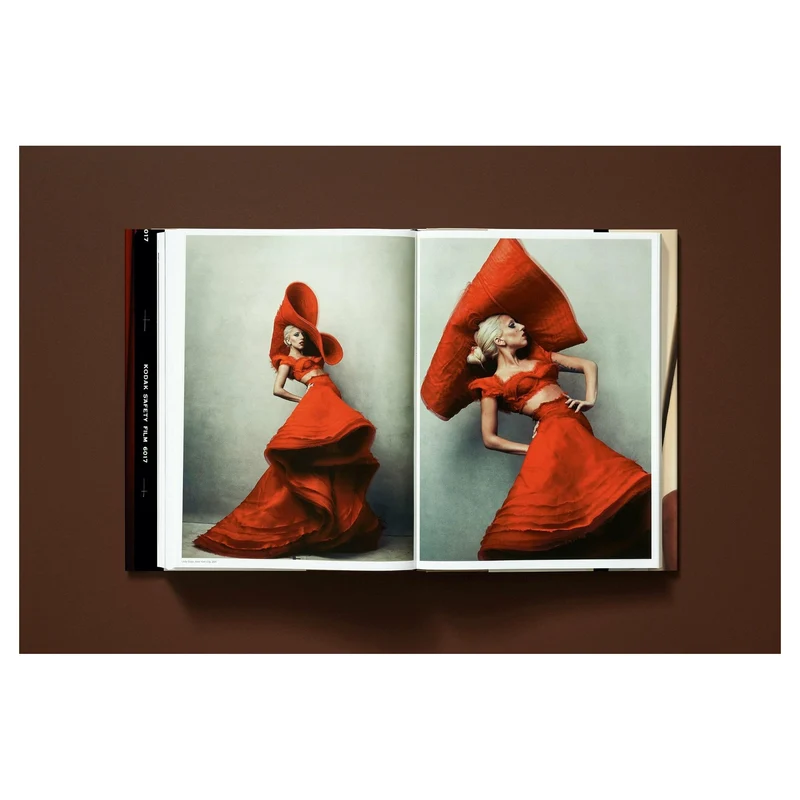 Annie Leibovitz. Art Edition No. 1–450 ‘Whoopi Goldberg’