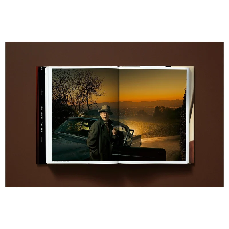 Annie Leibovitz. Art Edition No. 1–450 ‘Whoopi Goldberg’