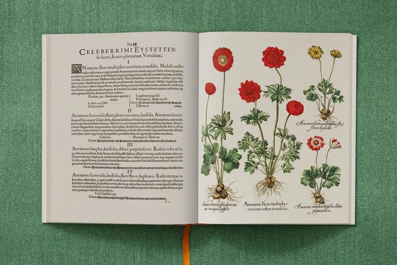 The Garden at Eichstätt by Basilius Besler
