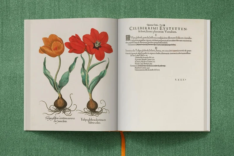 The Garden at Eichstätt by Basilius Besler