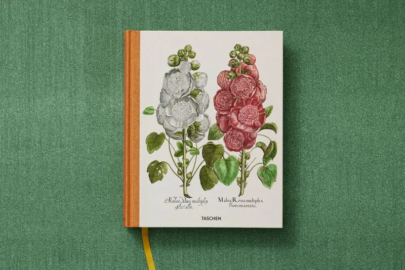 The Garden at Eichstätt by Basilius Besler