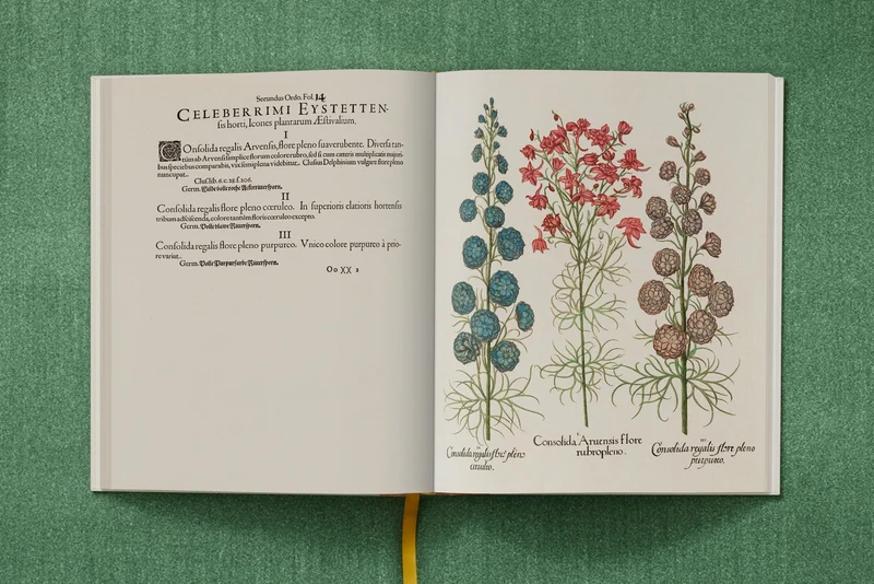The Garden at Eichstätt by Basilius Besler