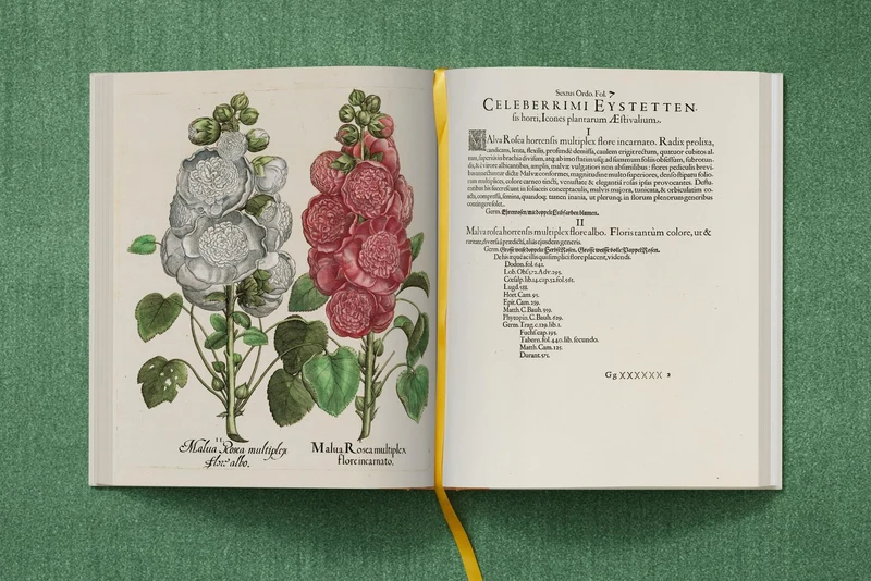 The Garden at Eichstätt by Basilius Besler