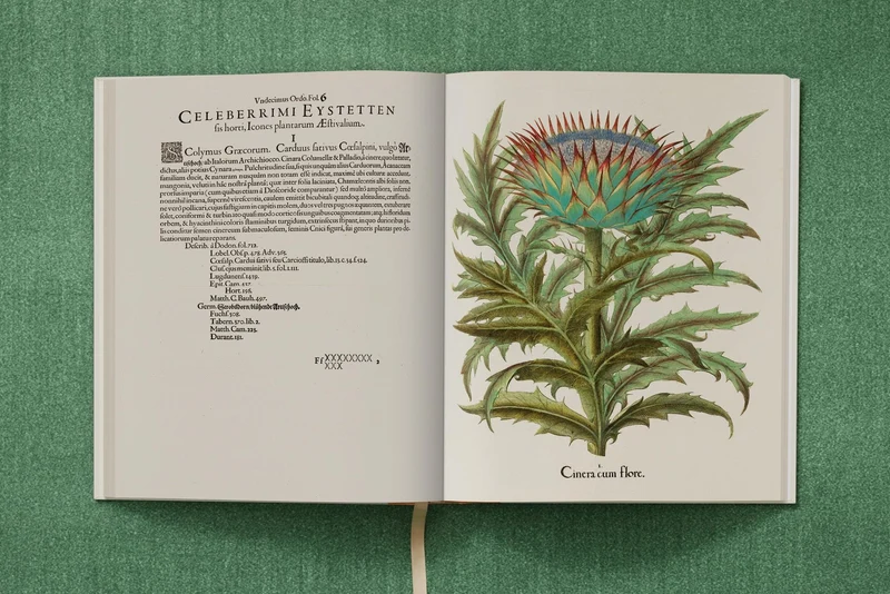 The Garden at Eichstätt by Basilius Besler