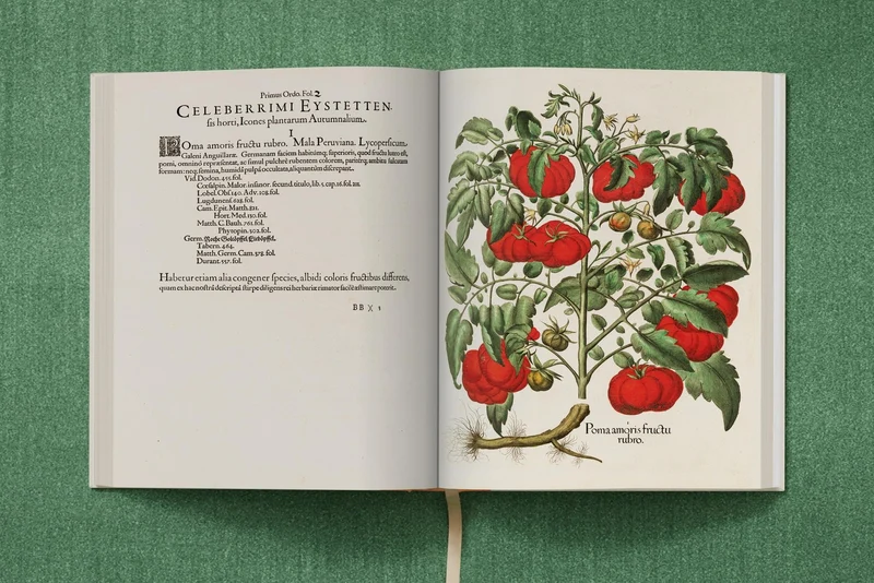 The Garden at Eichstätt by Basilius Besler