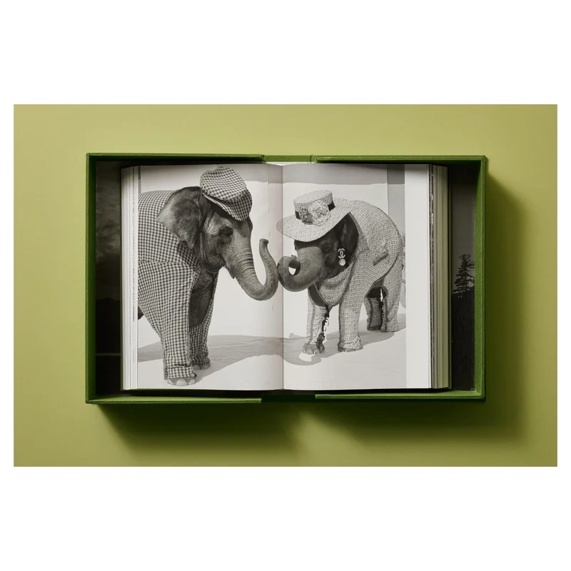 Bruce Weber. My Education. Art Edition No. 101–200, ‘Michael St. Pierre with Bonkers, Thousand Oaks, California’, 2004