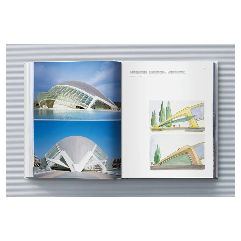 Calatrava. Complete Works 1979–Today. Art Edition ‘Transfigured Tree. Messenger of Light’, 2023