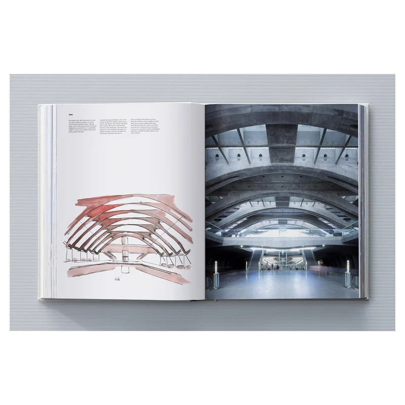Calatrava. Complete Works 1979–Today. Art Edition ‘Transfigured Tree. Messenger of Light’, 2023