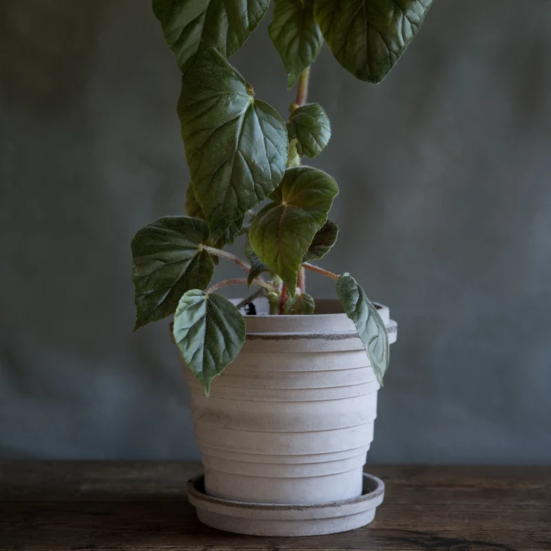 Blumentopf Planet 16 cm - Bergs Potter