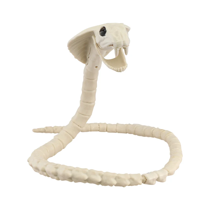 Tier Skelett "Cobra" XL Schlange 100 cm | Halloween Dekoration