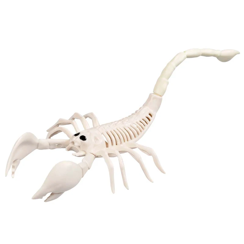 Tier Skelett Skorpion 33 x 14 x 8 cm | Halloween Dekoration